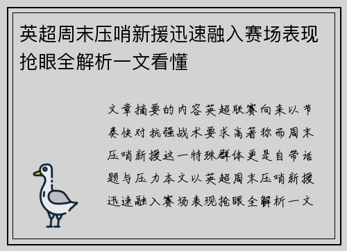英超周末压哨新援迅速融入赛场表现抢眼全解析一文看懂